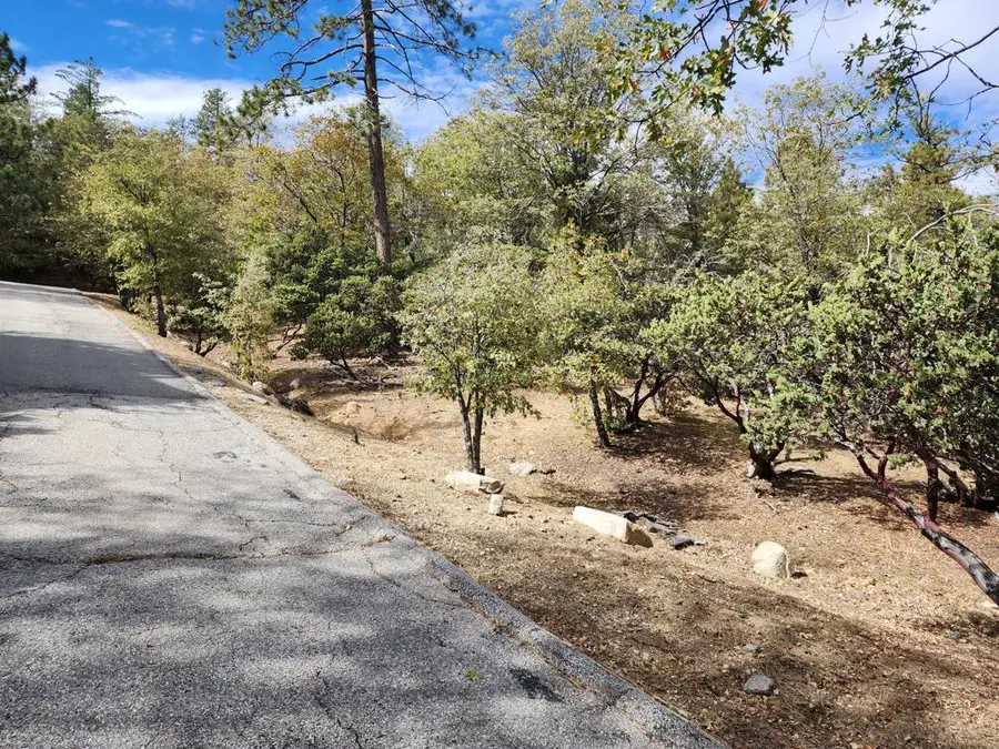 1356 Portillo Lane, Lake Arrowhead, CA 92352 - #3