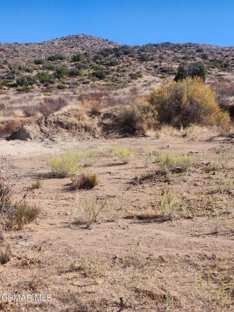 Vac/madler St/iowa Ave, Acton, CA 93510 - Image #2