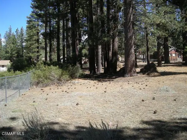 776 Knickerbocker Road, Big Bear, CA 92315