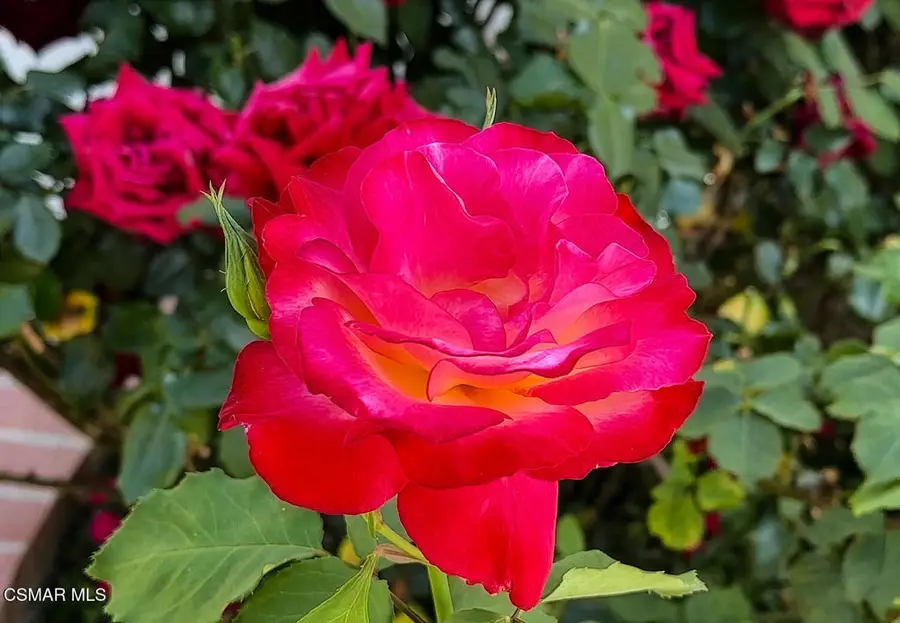 2080 Casual Court, Simi Valley, CA 93065 - #2