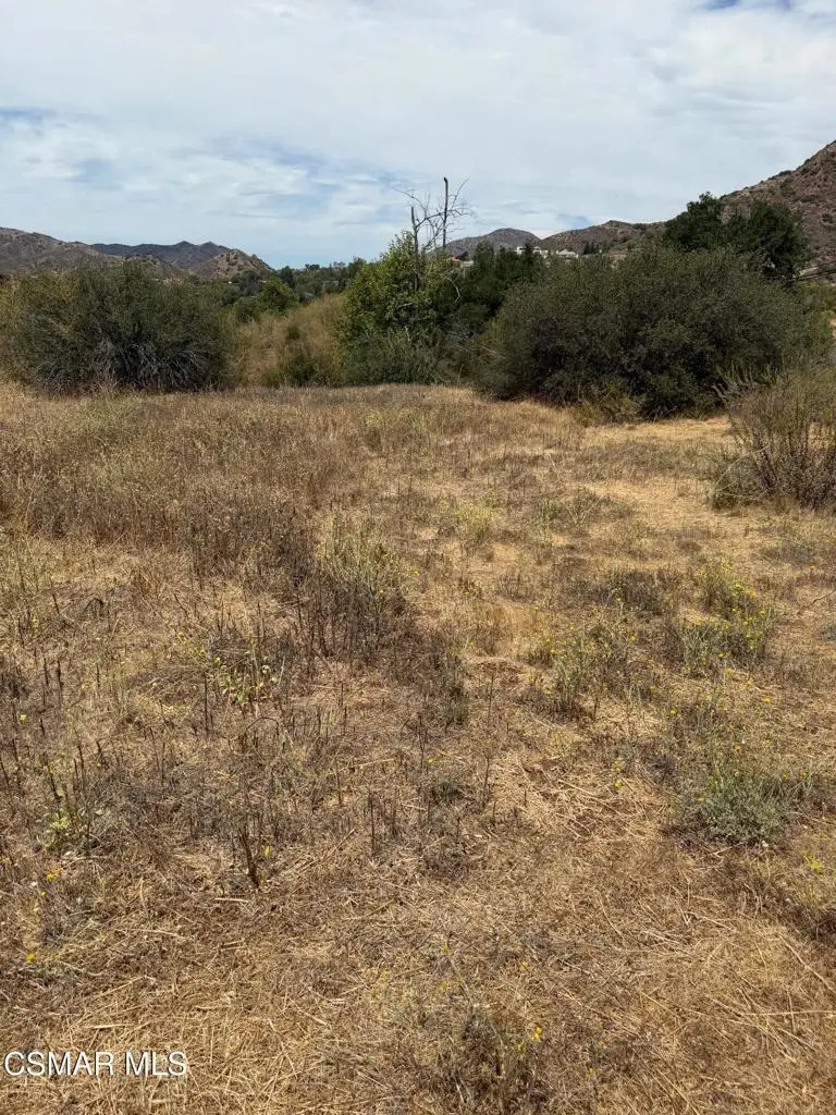 29510 Mulholland Highway, Agoura Hills, CA 91301 - #1