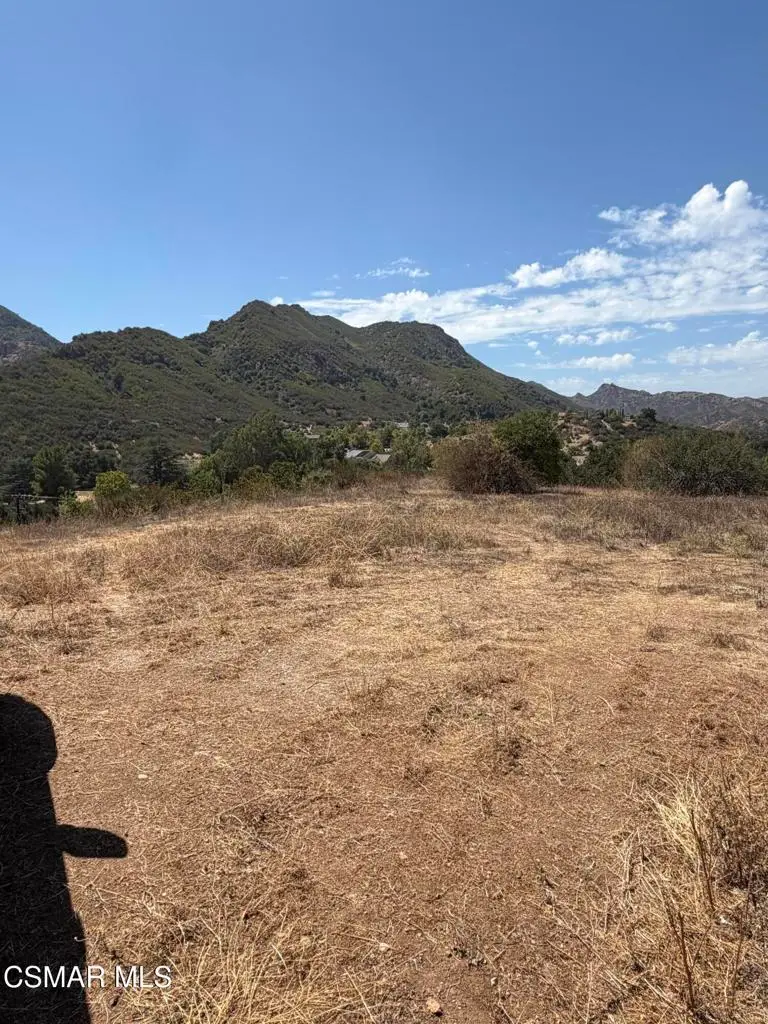 29510 Mulholland Highway, Agoura Hills, CA 91301 - #3