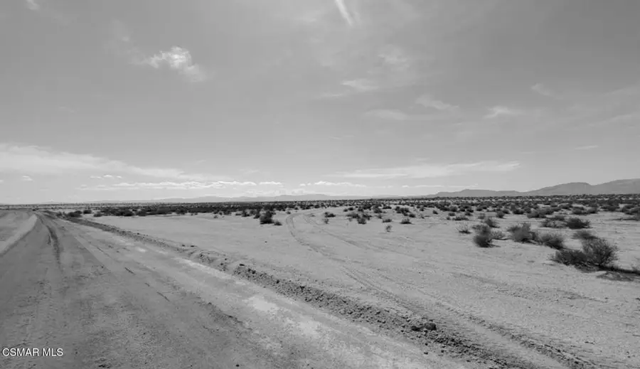 Alvord Mountain Road, Newberry Springs, CA 92365 - #3