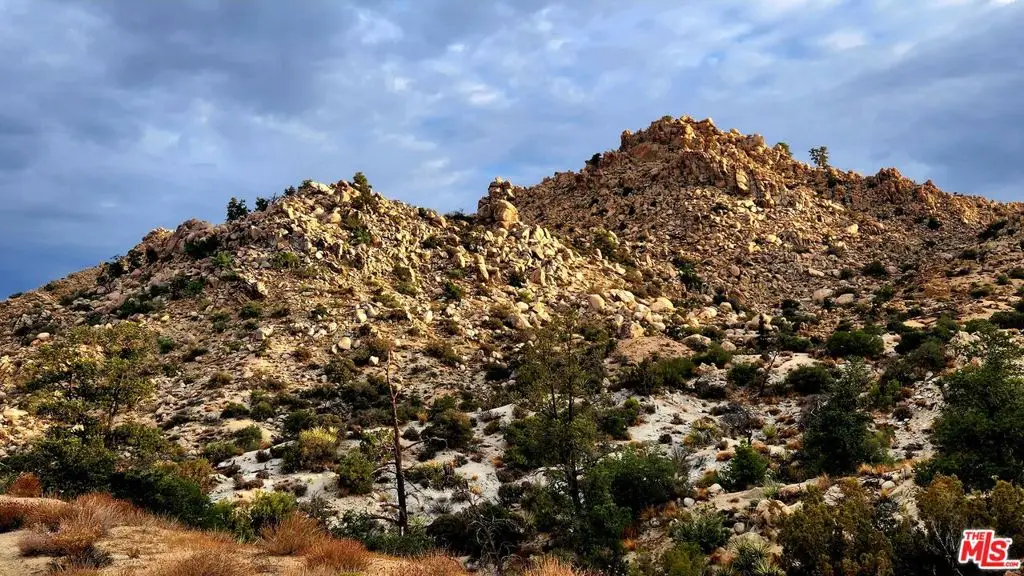 10 W Omega Trail, Yucca Valley, CA 92284 - #1