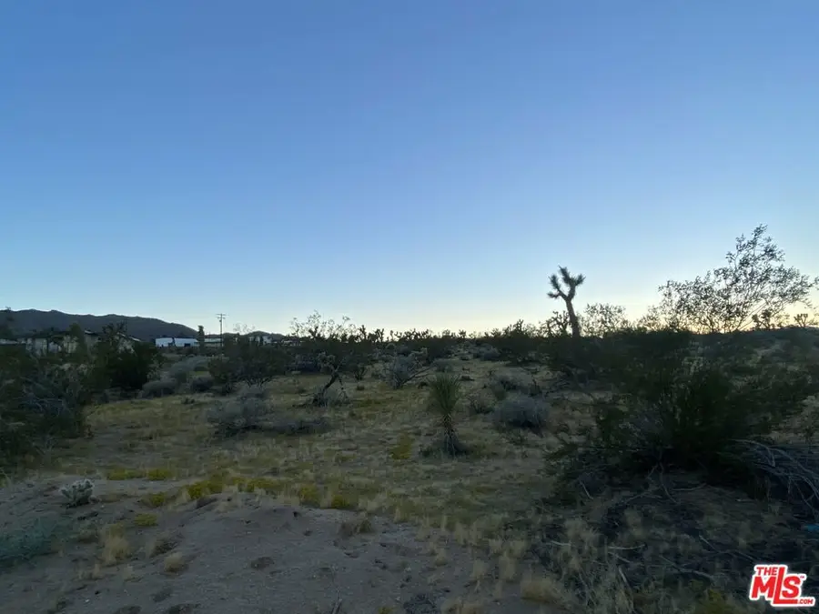 0 Saddleback Road, Joshua Tree, CA 92252 - #3