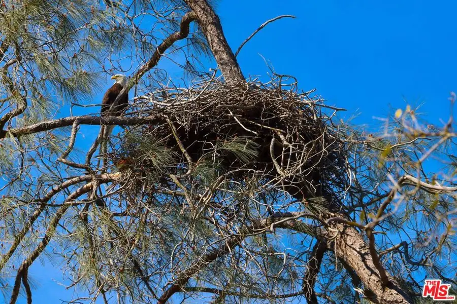 3 Blackhawk Drive, Coarsegold, CA 93614 - Image #3