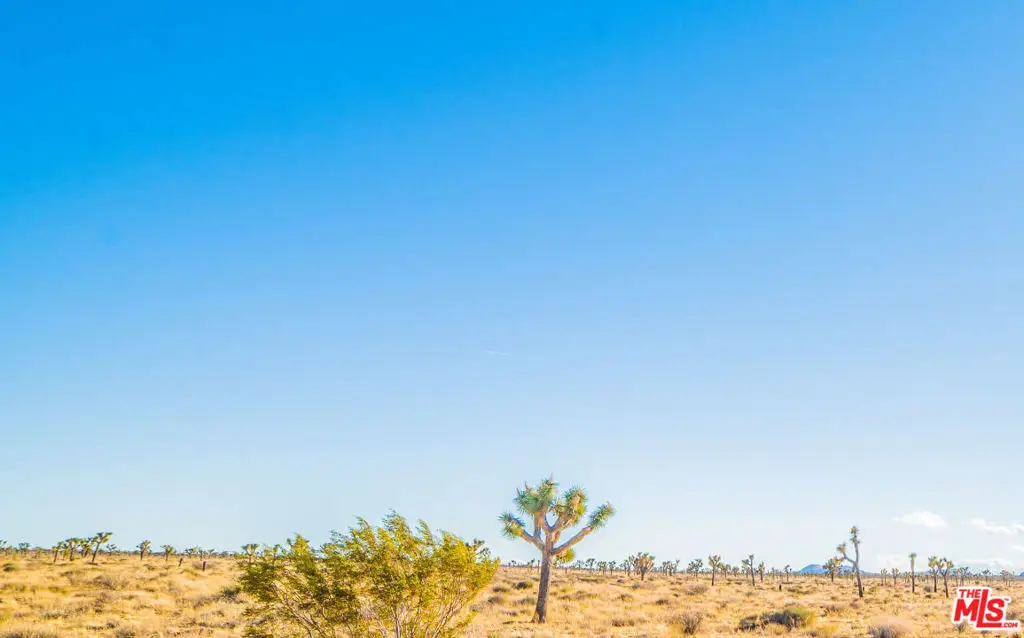 0 E 172nd Street #10, Lancaster, CA 93535 - #1