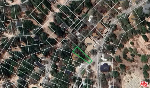 32780 Cougar Lane, Running Springs, CA 92382