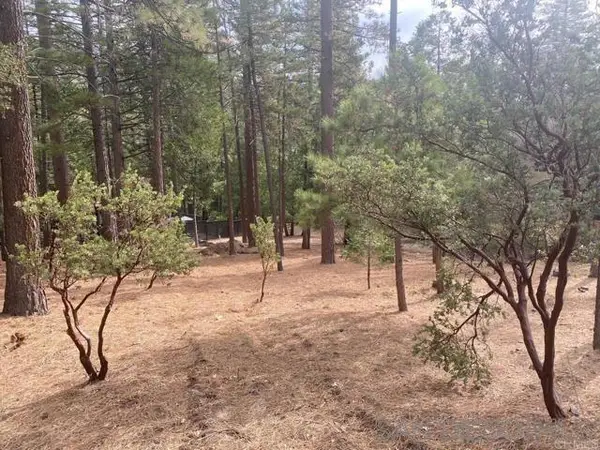 0 Big Pine, Idyllwild, CA 92549