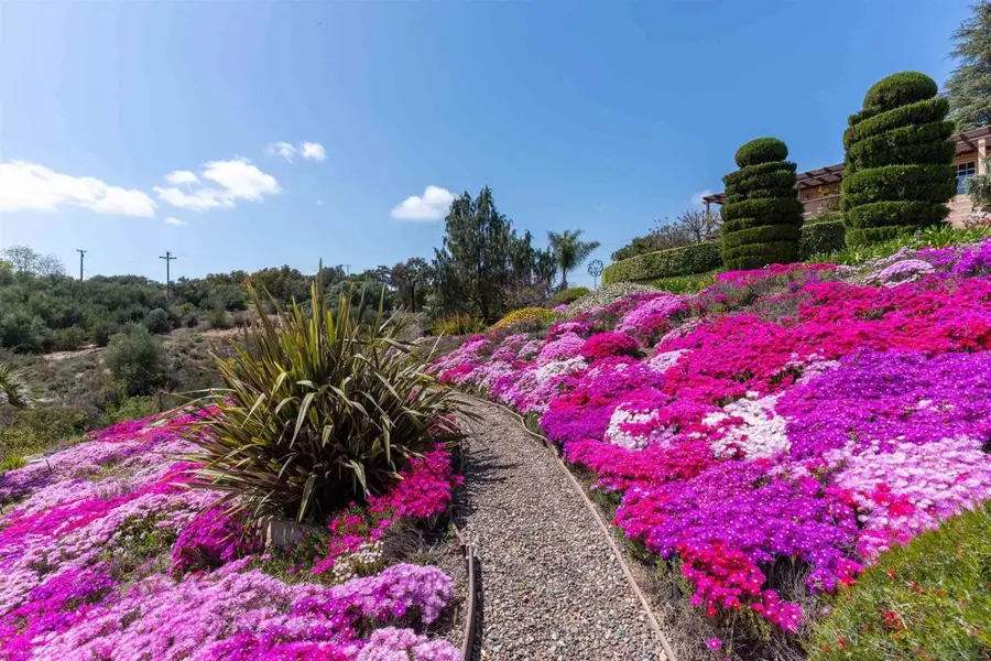 4241 Via El Dorado, Fallbrook, CA 92028 - Image #3