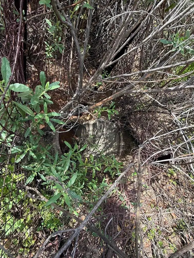 25111 N Centre City Pkwy, Escondido, CA 92026 - Image #3