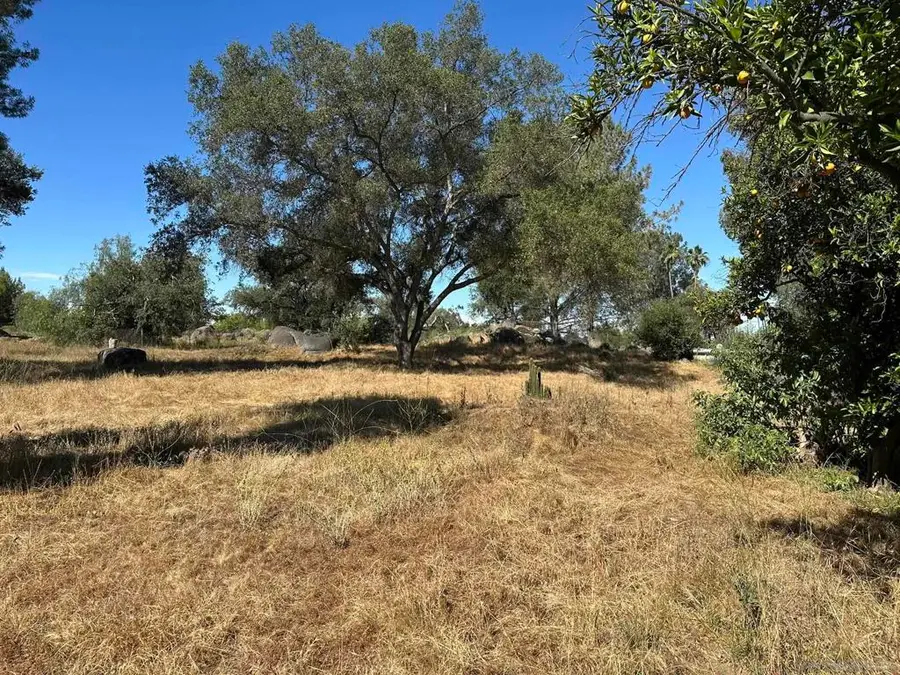 1528 Olivewood Ln, Alpine, CA 91901 - Image #3