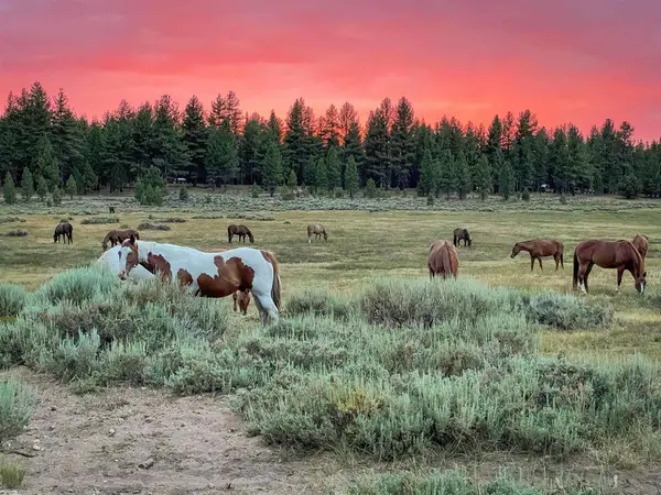34300 Holcomb Valley Road, Fawnskin, CA 92333