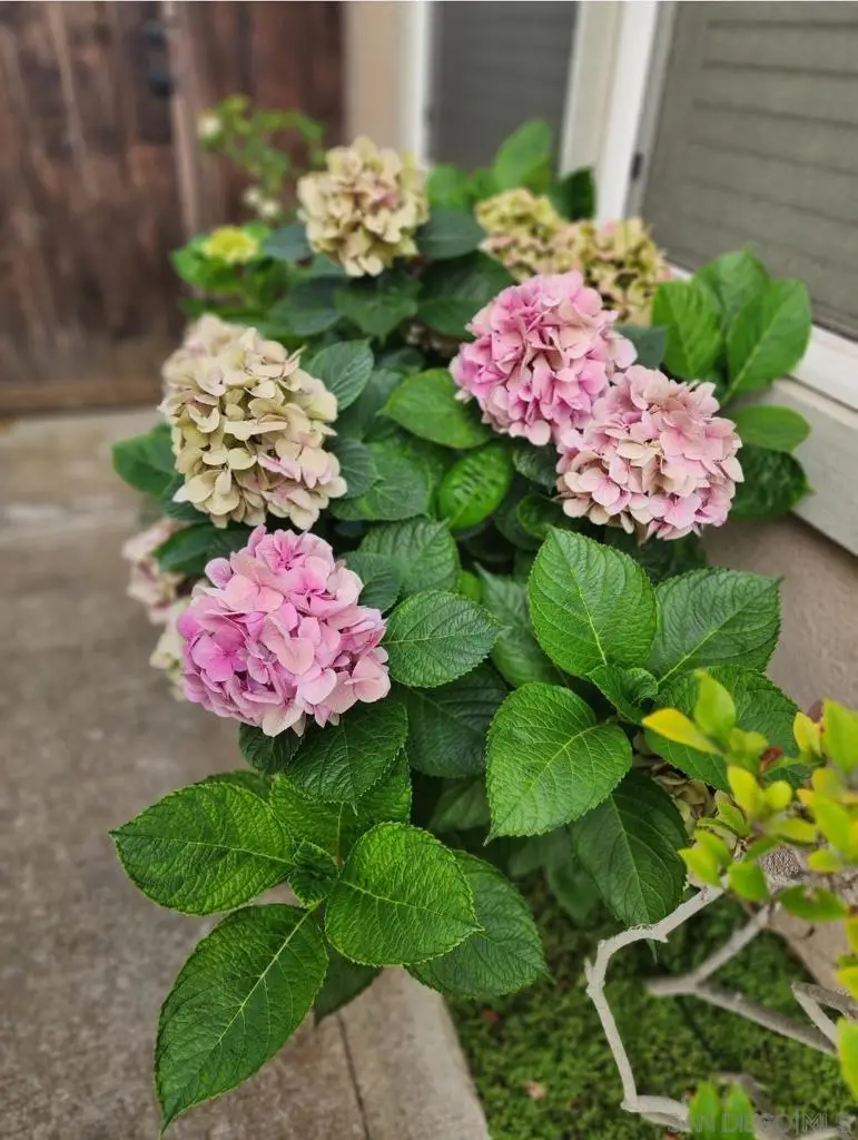 15793 Caminito Cantaras, Del Mar, CA 92014 - Image #3