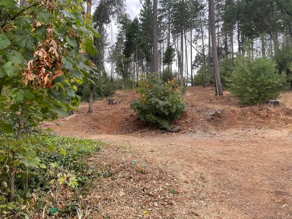 5930 Fickett Ln, Paradise, CA 95969 - Image #1