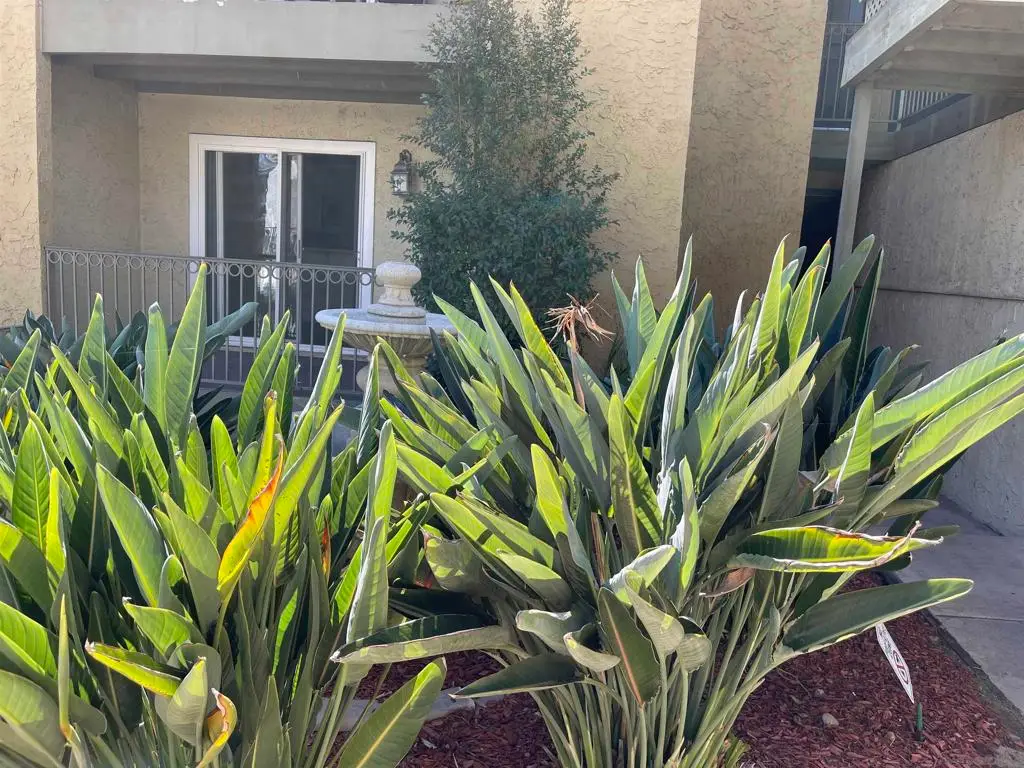 4013 Oakcrest Dr #3, San Diego, CA 92105 - Image #1