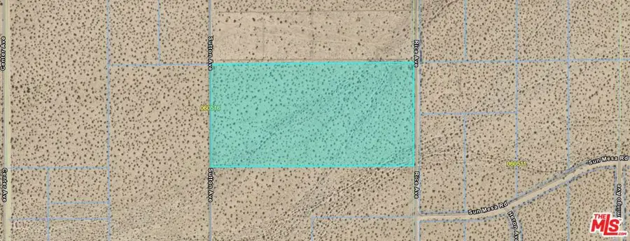 0 Rice Avenue, Joshua Tree, CA 92252 - #2