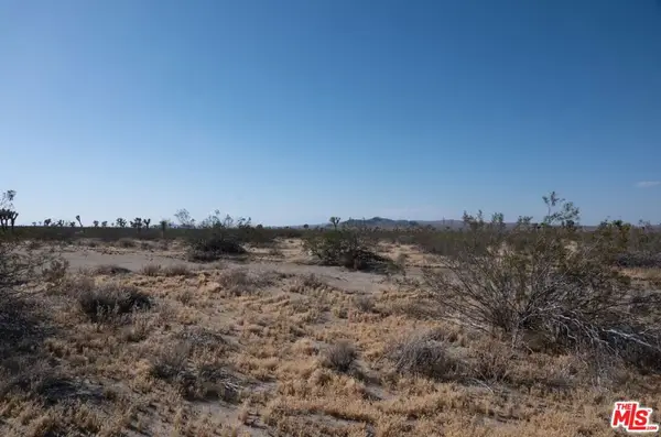 0 Lessing Avenue, Adelanto, CA 92301