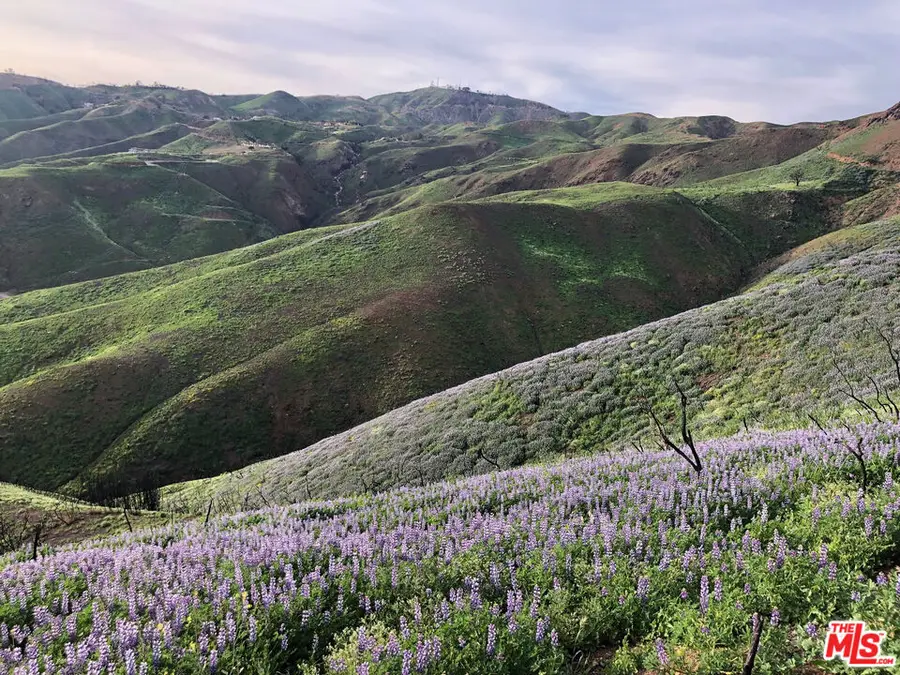 3900 Latigo Canyon Road, Malibu, CA 90265 - Image #3