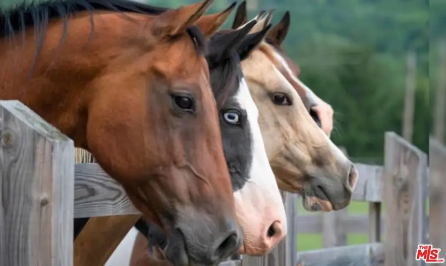 30100 Los Alamos Road, Murrieta, CA 92563 - Image #2