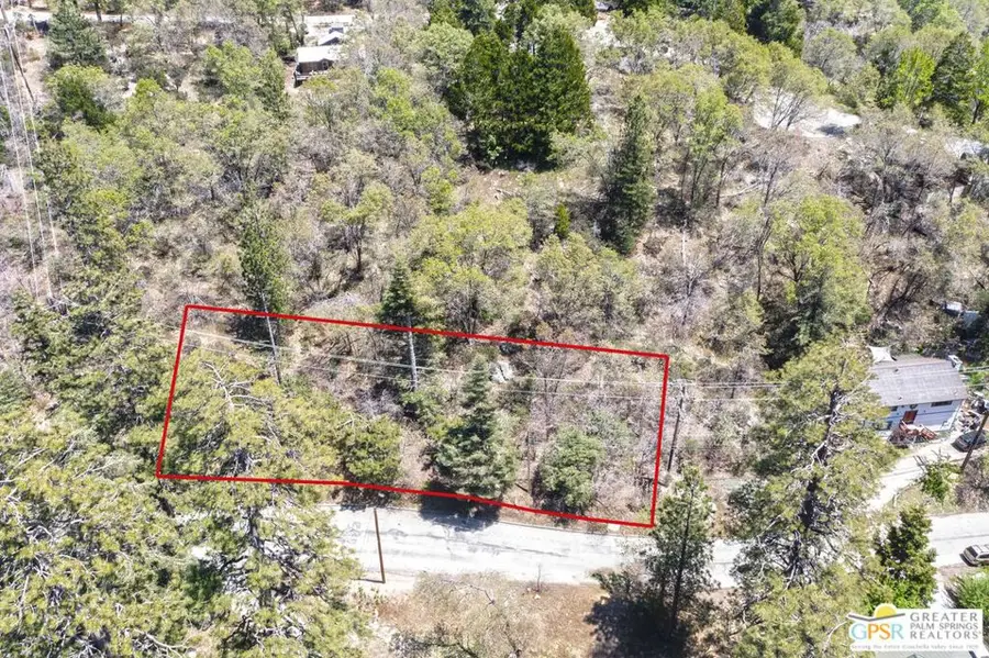 6011 Mountain Home Creek Road, Angelus Oaks, CA 92305 - Image #3