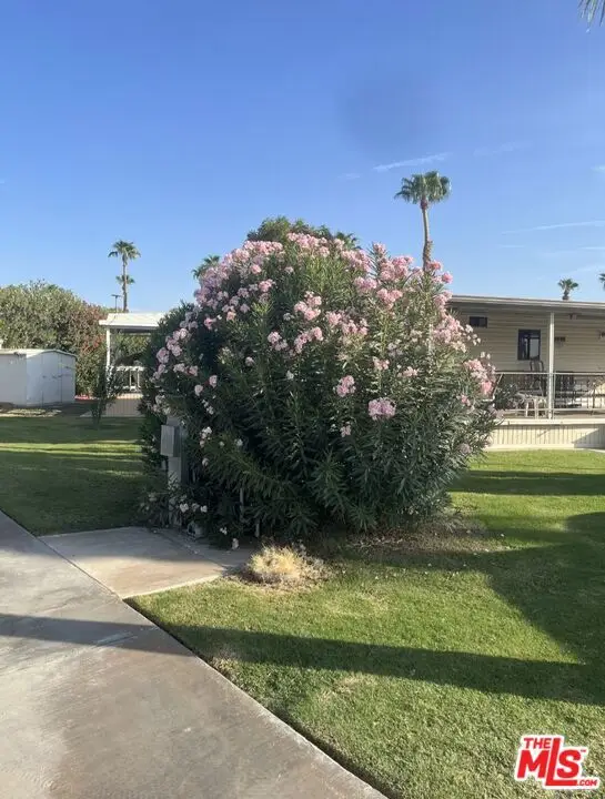 84136 Avenue 44 #217, Indio, CA 92203 - #3