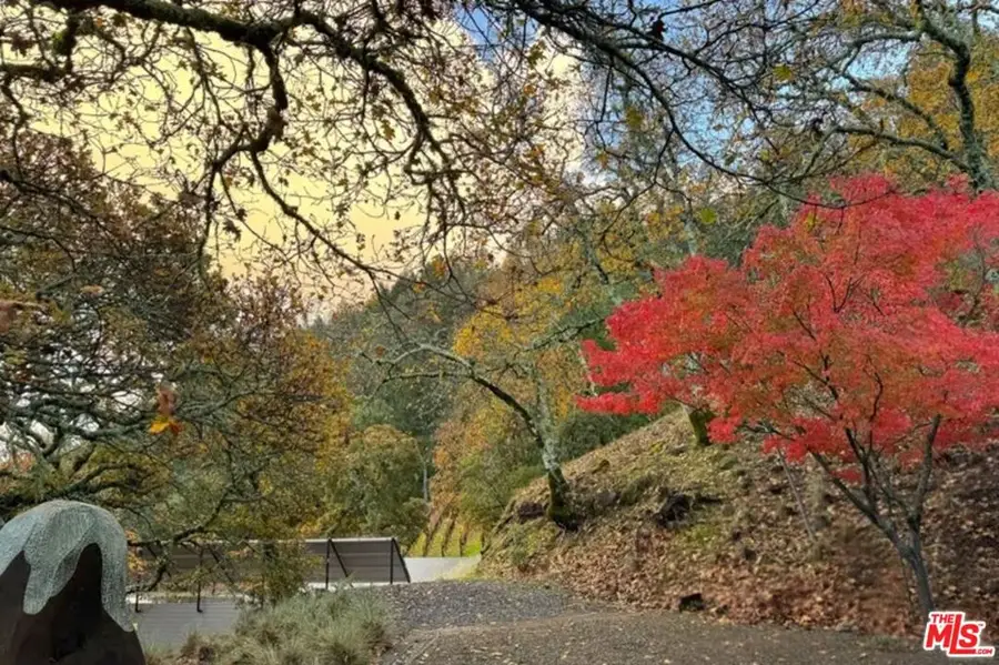 351 Wall Road, Napa, CA 94558 - Image #3