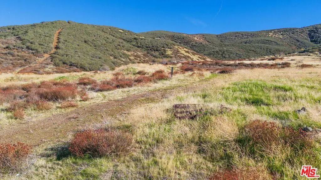 0 Bouqet Cyn Rd/vic Rogers Ck, Leona Valley, CA 93551 - Image #1