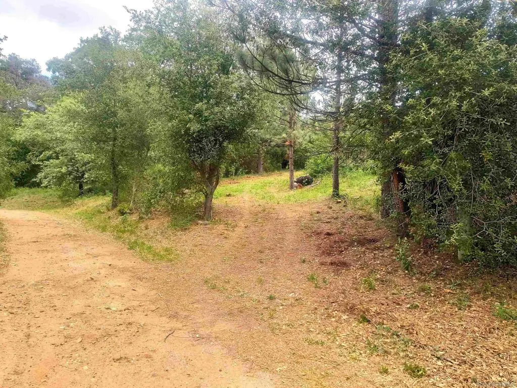 0 Smokey Lane, Julian, CA 92036 - #1