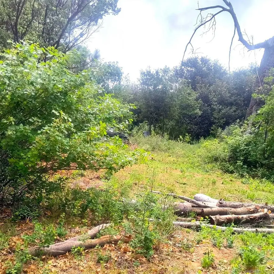 0 Smokey Lane, Julian, CA 92036 - #3