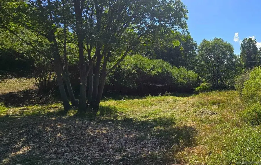 38 Creek Rd., Julian, CA 92036 - #2
