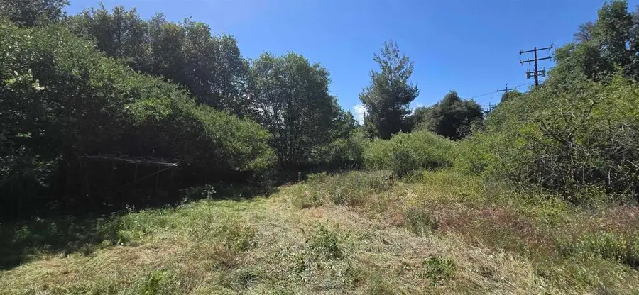 38 Creek Rd., Julian, CA 92036 - #3