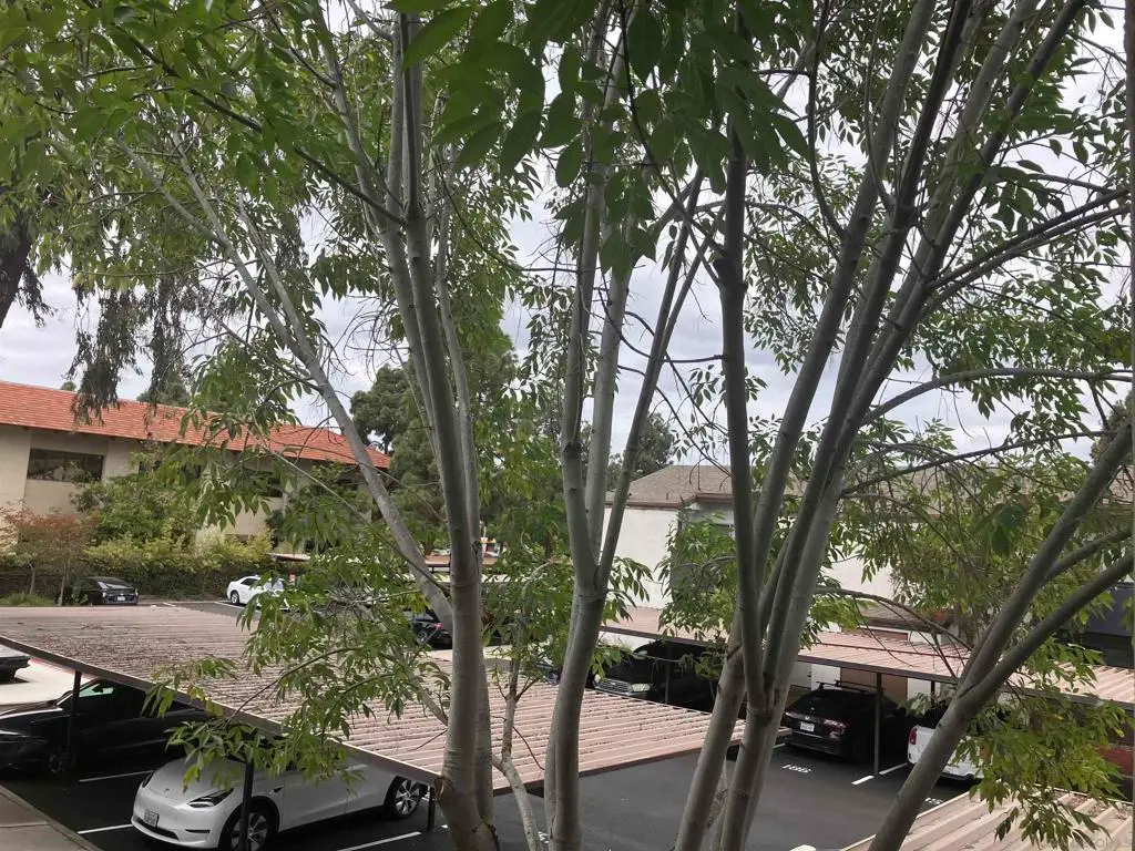 1361 Caminito Gabaldon #D, San Diego, CA 92108 - #1