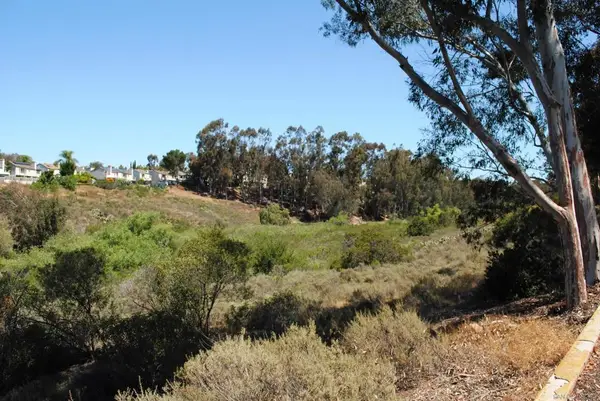 6116 Calle Mariselda #304, San Diego, CA 92124