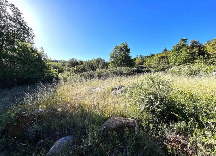 Oak Way, Julian, CA 92036 - #2