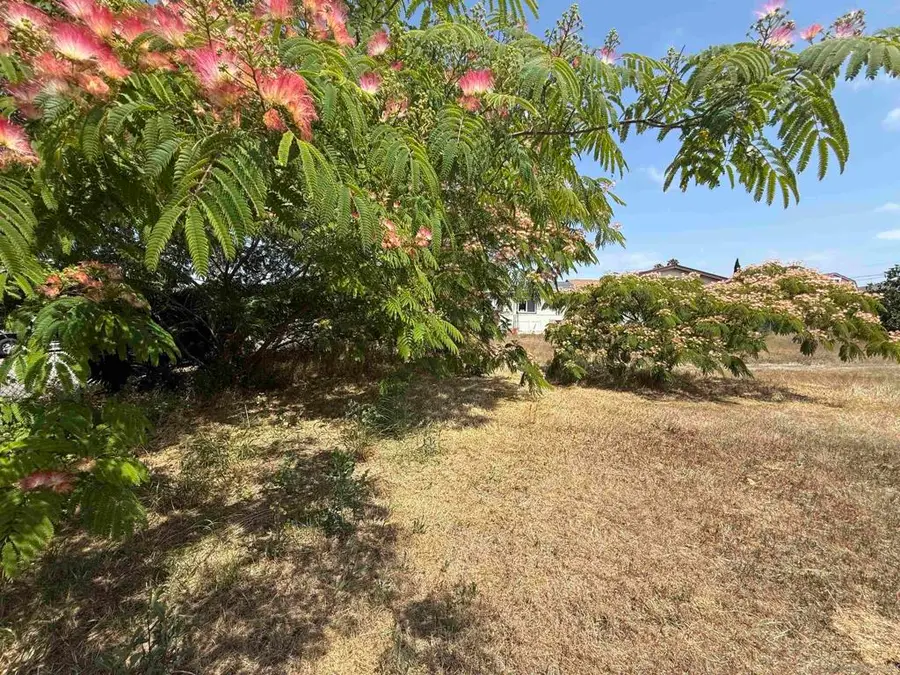921 Beech Ave, Chula Vista, CA 91911 - #3