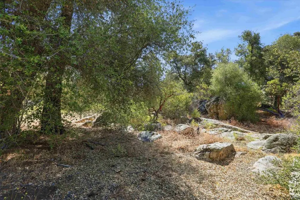 8515 Foothill Blvd, Pine Valley, CA 91962 - #1