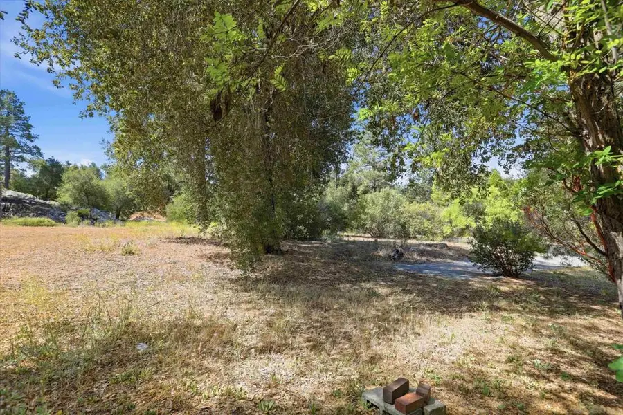 8515 Foothill Blvd, Pine Valley, CA 91962 - #2