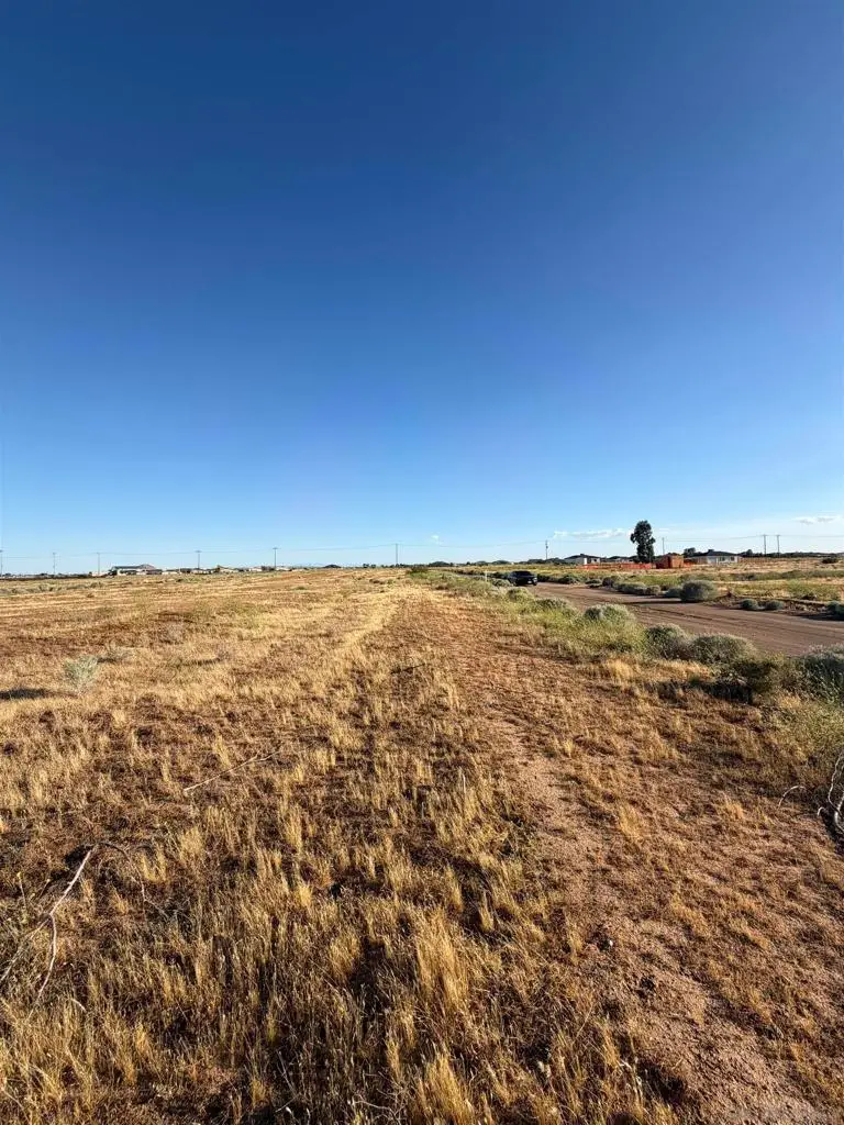 85 Street, California City, CA 93505 - #3