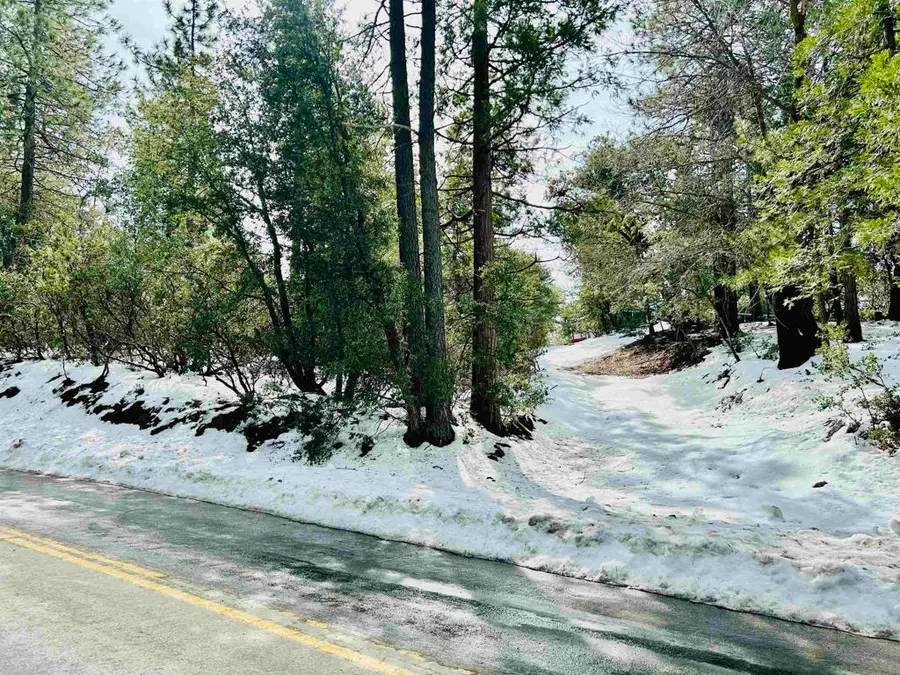 8 Saunders Meadow Road, Idyllwild, CA 92549 - #3