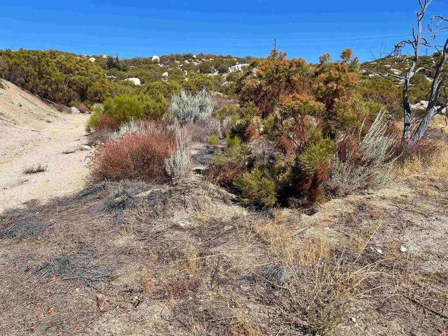 3 Chihuahua Valley Road, Warner Springs, CA 92086 - Image #3