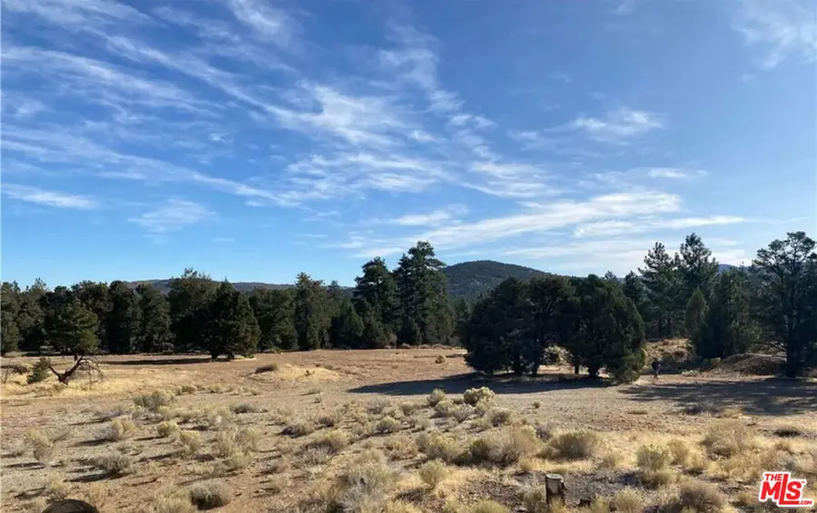 0 Pine Lane, Big Bear City, CA 90266 - #2