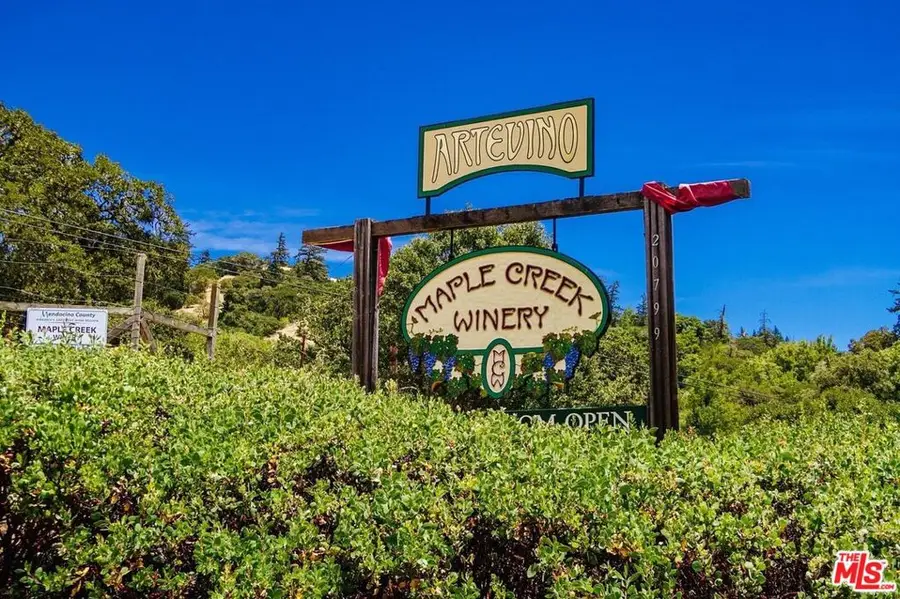 20799 Highway 128, Yorkville, CA 95494 - #3