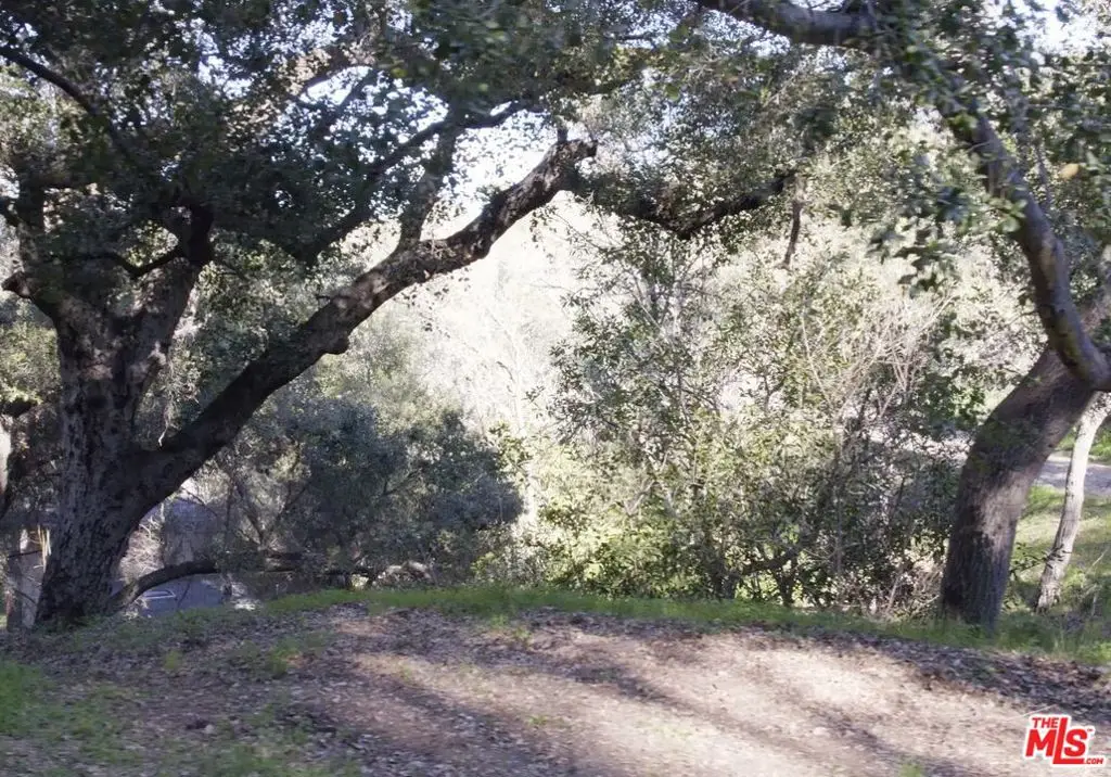 21050 Winfield Road, Topanga, CA 90290 - #1