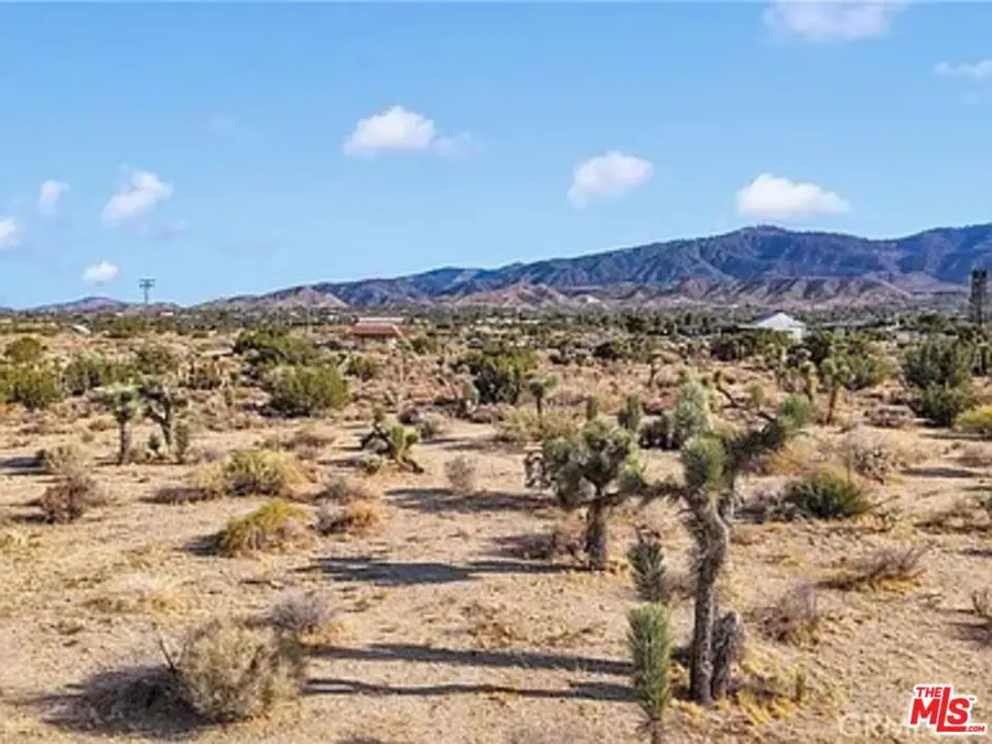 875 Locust Road, Pinon Hills, CA 92372 - Image #3