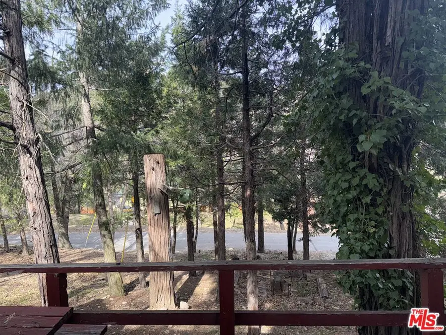 21801 Plunge Road, Cedarpines Park, CA 92322 - #3