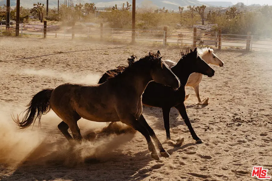 55626 Pipes Canyon Road, Yucca Valley, CA 92284 - #2