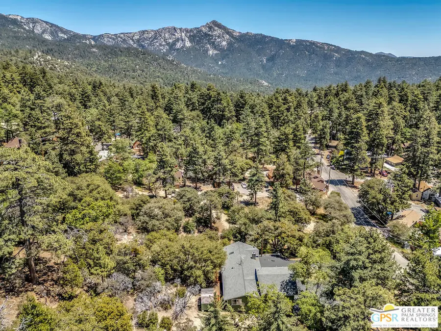 52732 Pine Cove Road, Idyllwild, CA 92549 - #3
