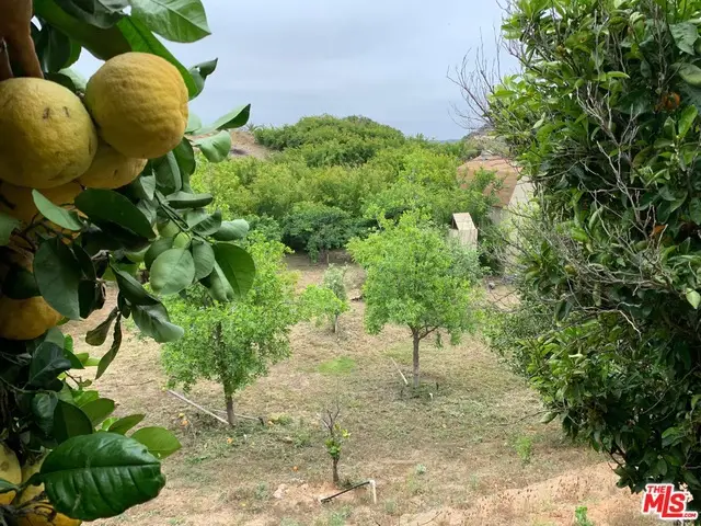 45220 Los Gatos Road, Temecula, CA 92590 - #3