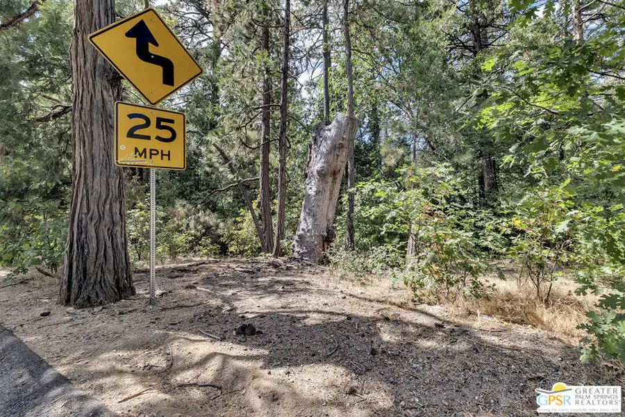 0 N Circle Drive, Idyllwild, CA 92549 - #3
